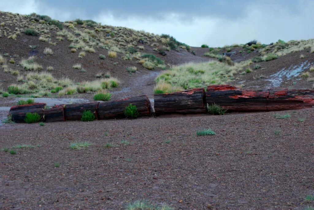 Плоский холм. Хард скейп под Аризонскую пустыню. Garbage Pit Desert USA. Фото автобусной остановке в пустыне Аризоны..