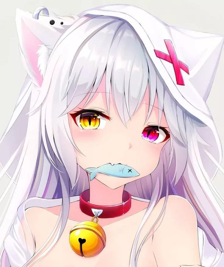 Кошко тянки