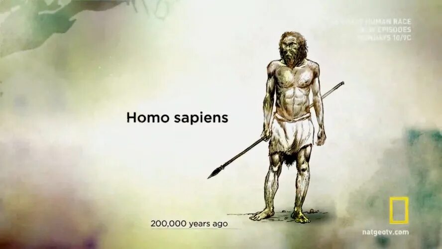 Медцентр сапиенс. Хомо сапиенс. Homo sapiens sapiens. Homo sapiens картинки. Хомо сапиенс Графика.