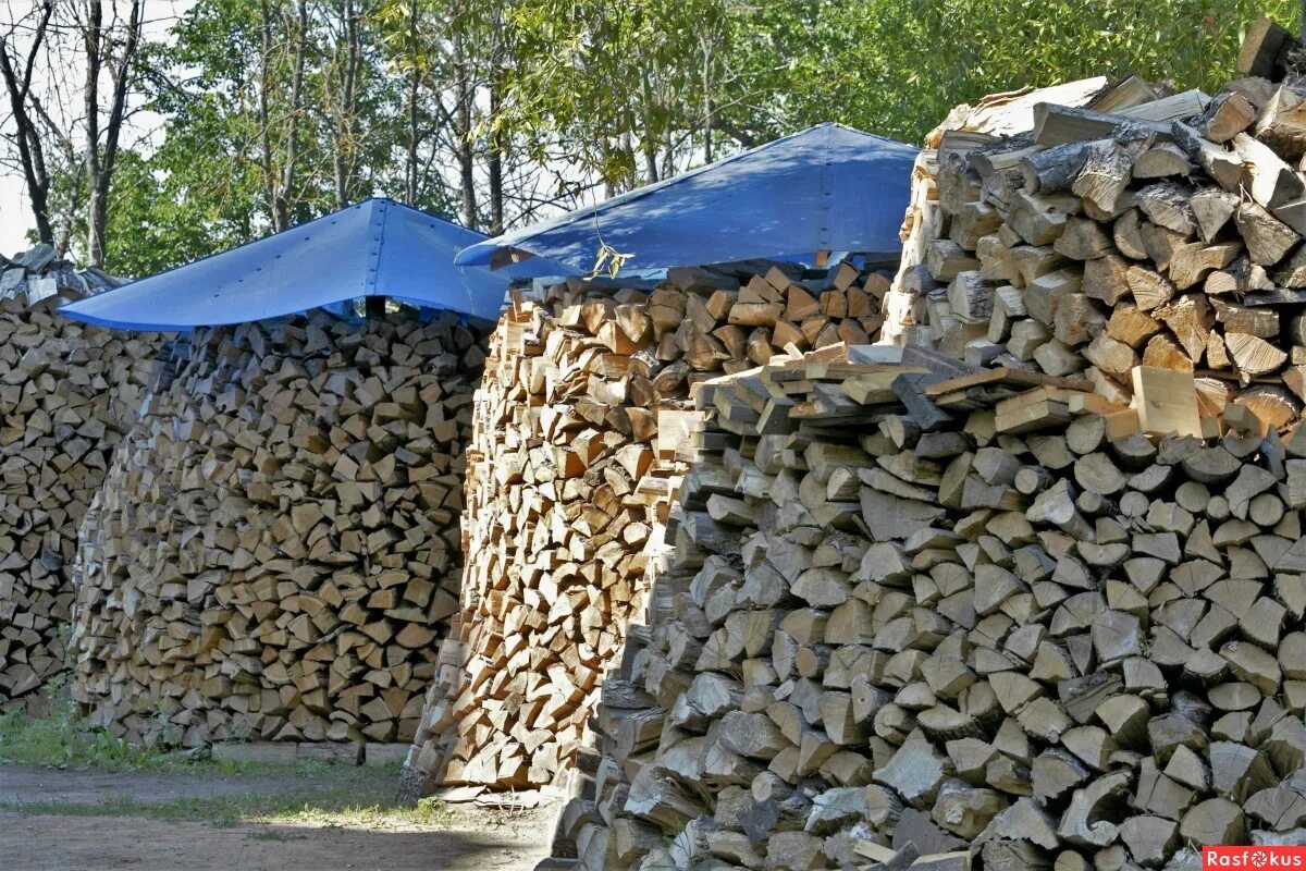 креативная реклама дров. прикольные надписи. визитка дрова. анекдот на ночь смешной. дрова нужны картинки.