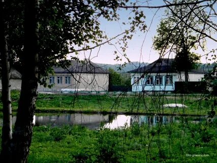 Кривцово белгородская область