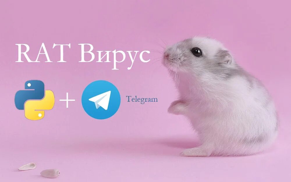 Rat вирус. Telegram rat. Linux rat. Rat вирусы расшифровка.