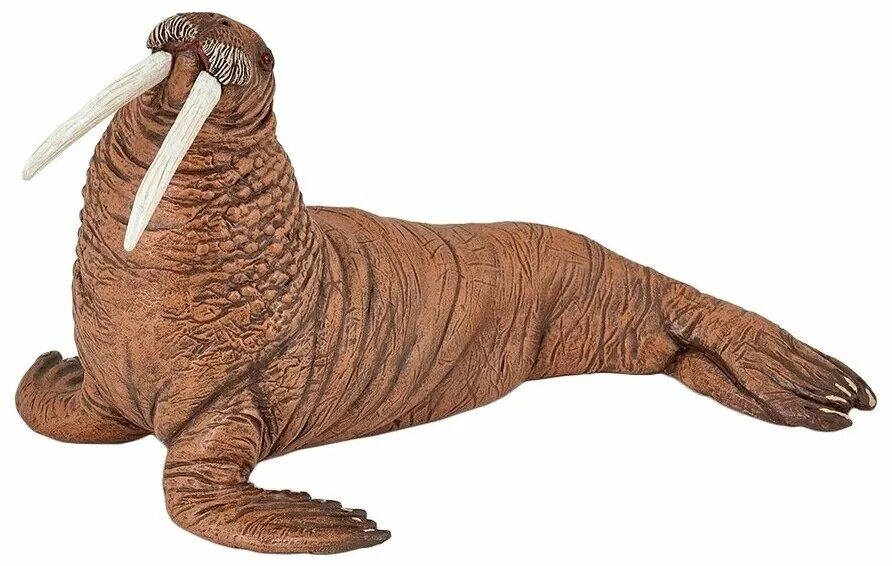 морж (l) (88569b). Schleich капибара. морж для детей. морж на прозрачном фоне. морж на белом фоне.