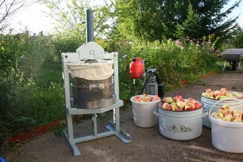 Отжим яблок для сока