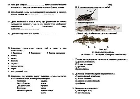 Задания по зоологии