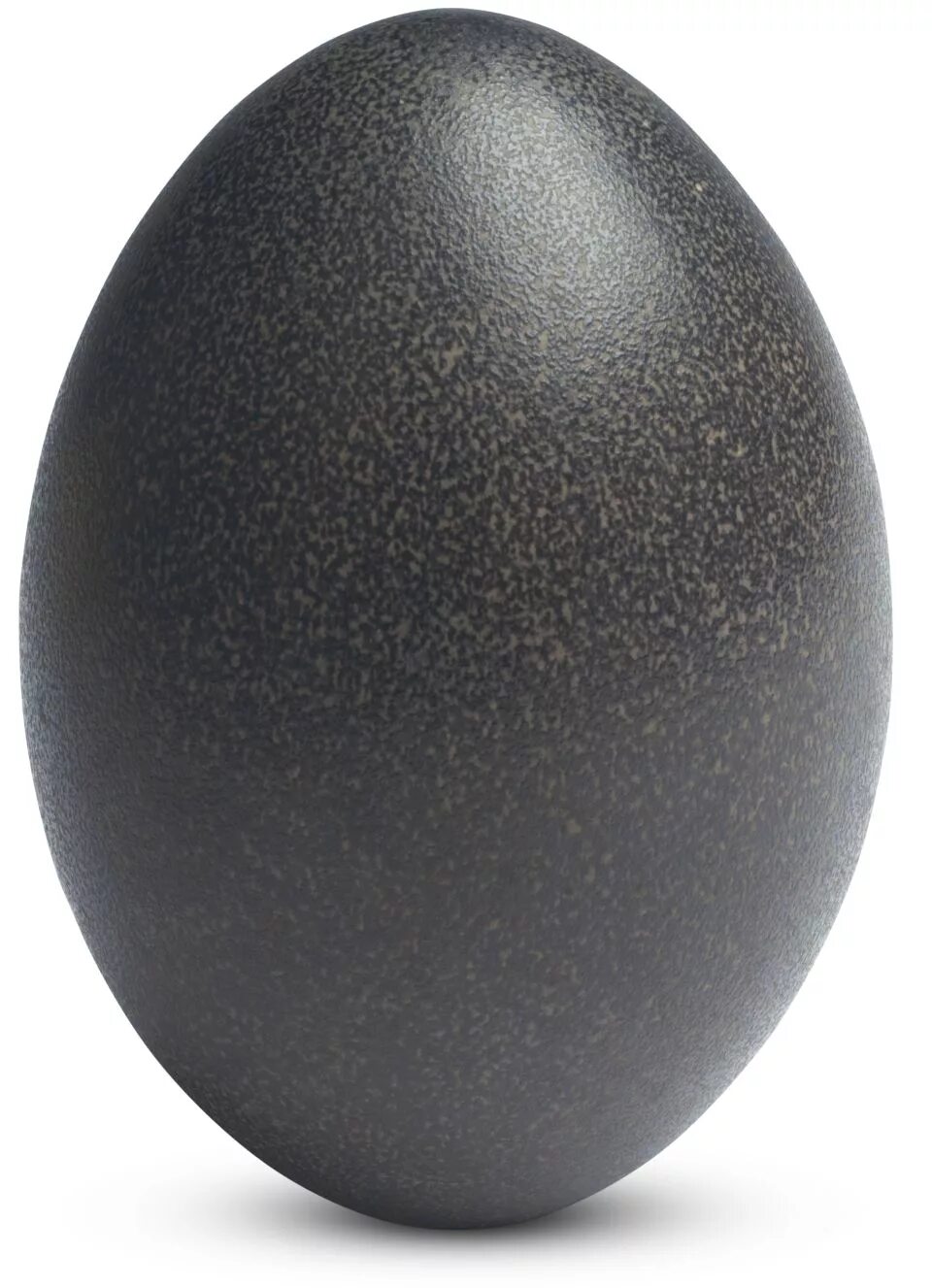 Яйцо стало черным. Черные яйца. Темные яйца. Черные яички. Яйцо на черном фоне.