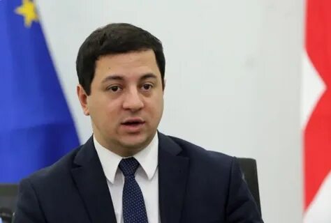 Председатель парламента грузии