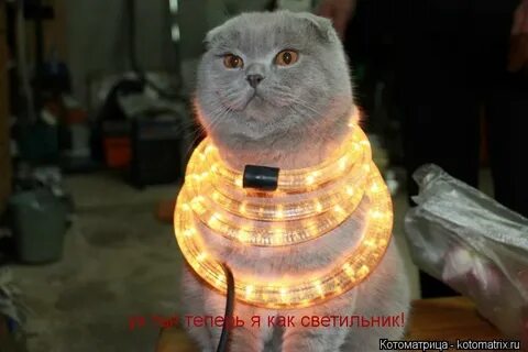 8 лет идите