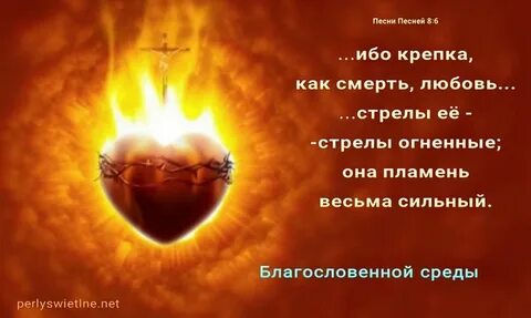 Ибо любовь