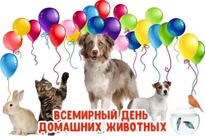19 апреля день владельцев домашних животных. Праздник Всемирный день домашних животных. С Всемирным праздником животных. День домашних животных 2022. День домашних животных 11 апреля.