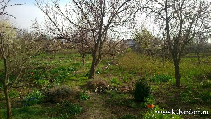 поселок новомирский азовского района ростовской области. станция красный хутор белгородская область. х красный краснодарский край. село красное дом 57. станица старотитаровская краснодарский край.