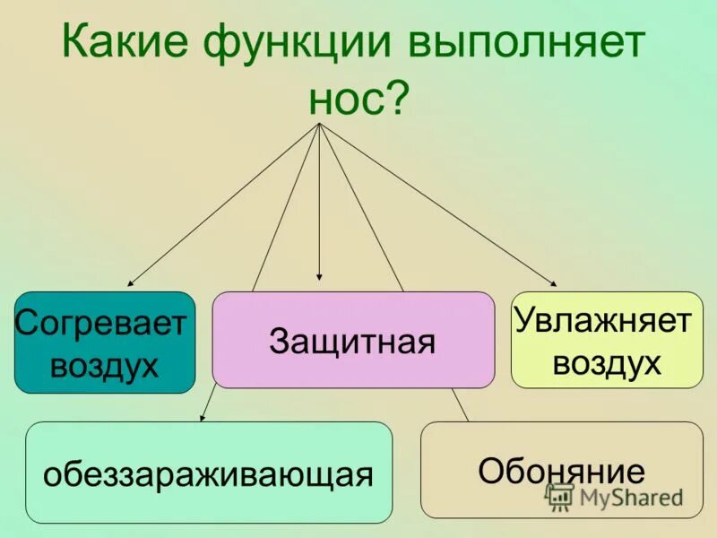 Цели и задачи аэропорта. Воздушные мешки функции. Какую функцию выполняют воздушные. Какую функцию выполняют воздушные. Какую функцию выполняют воздушные.
