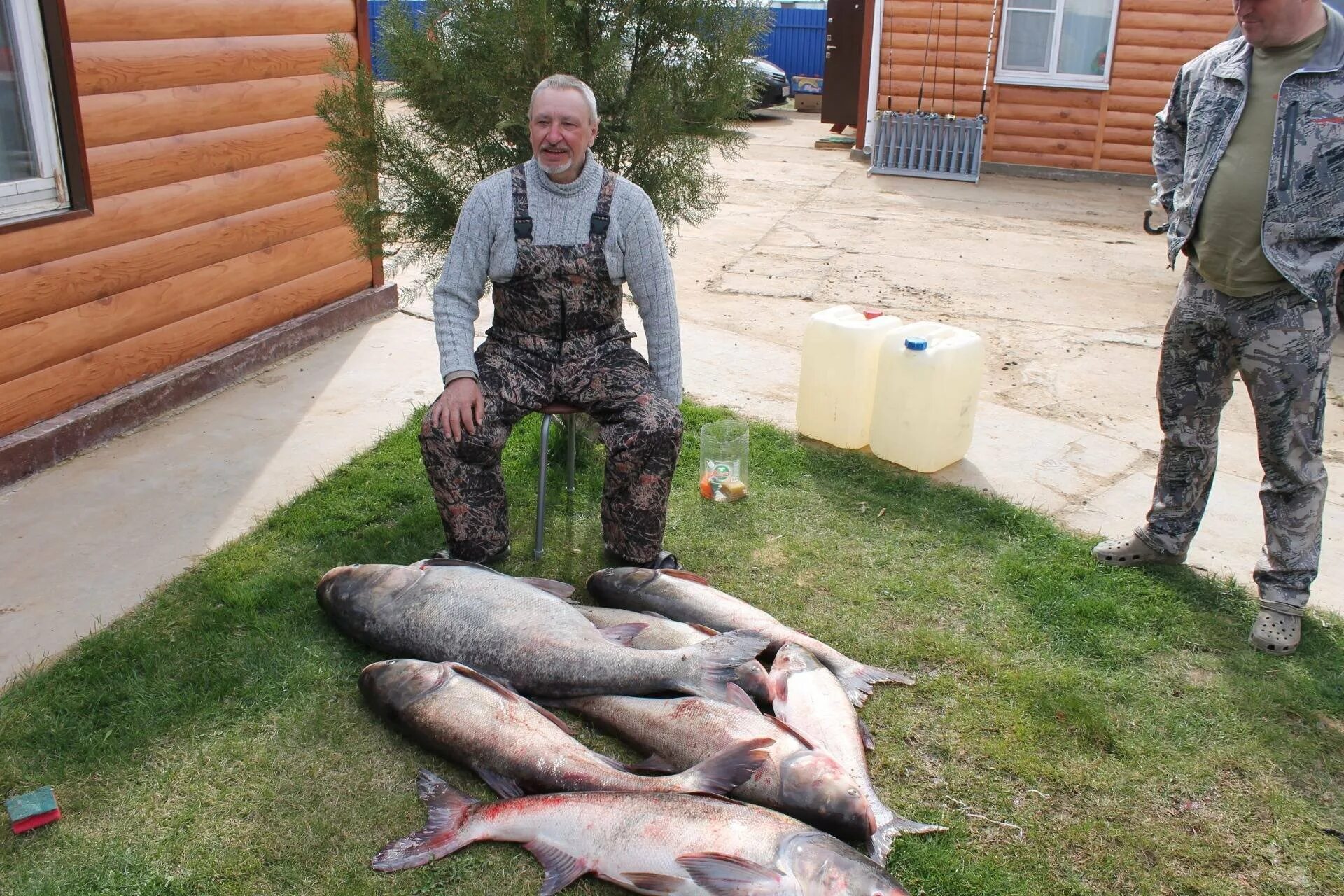 Двинье озеро Псковская область. Платная рыбалка. Рыбы Псковской области. Рыбалка Псков. Псковское озеро рыба