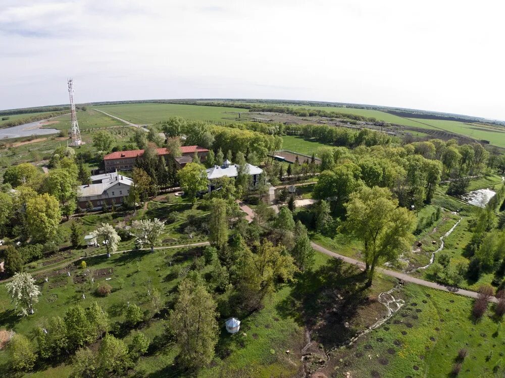 Усадьба Рахманинова в Ивановке. Ивановка Брянская область. Ивановка (Веревское сельское поселение). Село Ивановка Брянская область.