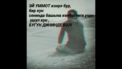 Жашоо бир
