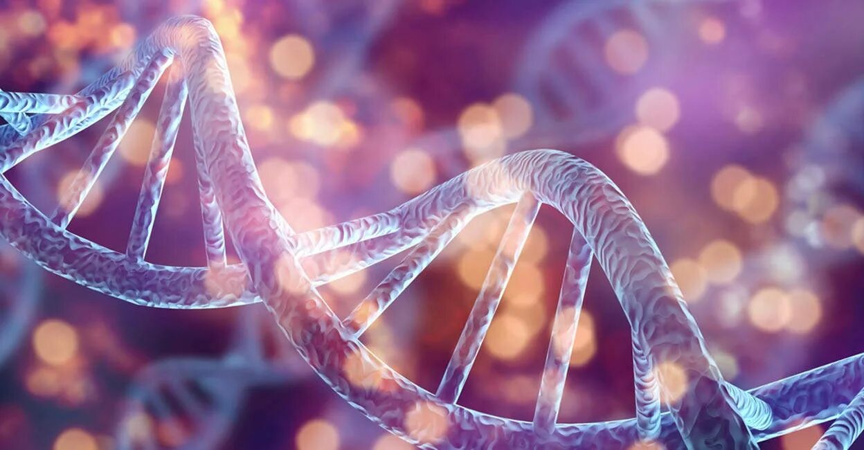 Фон для генетики. O dna. Днк. Генетика png. O dna.