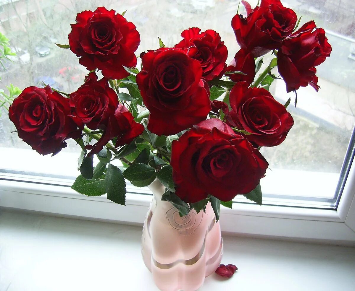 Сколько стоят цветы розы в вазе. Цветы в вазе. Цветы на окне. Цветы в вазе на столе. Букет цветов на окне.