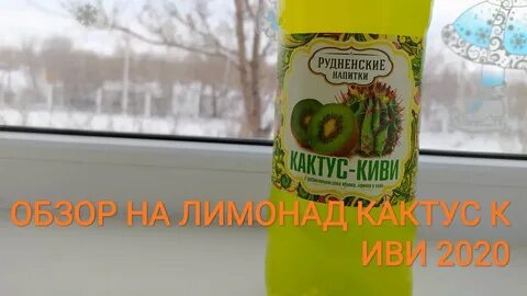 Лимонад с кактусом