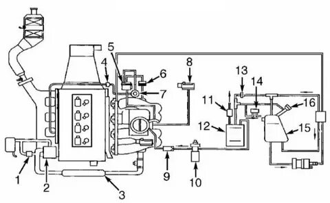 Түнде секс көргім келді