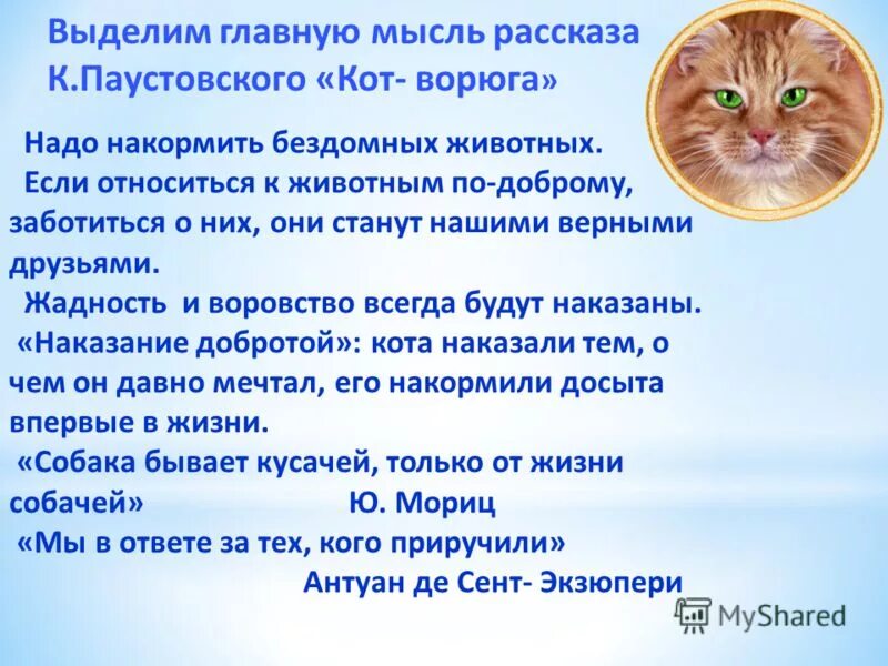 Анализ рассказа паустовского кот ворюга. Кот ворюга. Произведение кот ворюга. Паустовский к. "кот-ворюга". Рассказ кот ворюга.