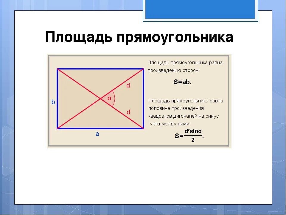 Квадрата равна произведению его диагоналей. Площадь прымоугольник. Площадь прямоугольника. Площадь прямоугольрик. Площадьпрямаугольника.