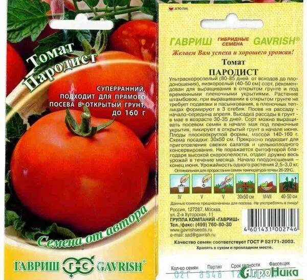 Скороспелые сорта томатов. Томаты суперранние низкорослые сорта. томат пародист гавриш. ультра скороспелый помидор сорт для открытого грунта. томат раннеспелый ультраскороспелый для открытого грунта.