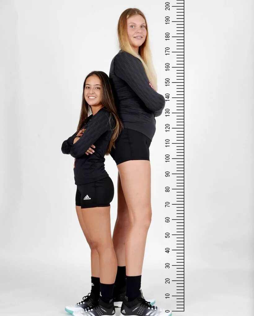 Самый низкий средний высокий рост девушек. Женщины разного роста. Высокие девушки 190. Девушка 180 см. Девушки ростом 180.