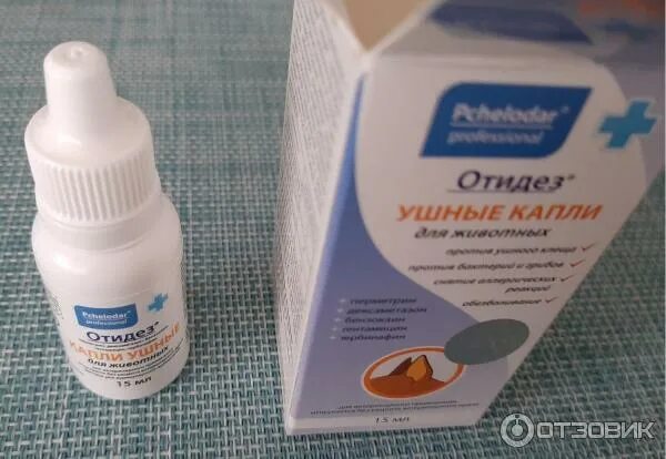 Офтальмо капли глазные. Отофа состав препарата. Атофа. Антибиотик при отите у детей. Ушные капли 2,6%.