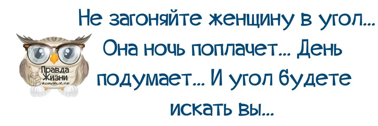 Правды жизни на дне. Правда жизни цитаты. Смешные цитаты с картинками правда жизни. Правда жизни приколы. Правда жизни картинки.