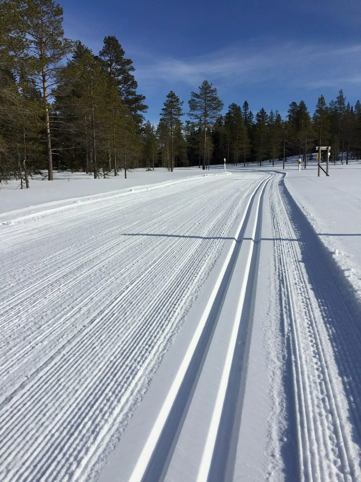 Лыжня. Лыжная трасса. Лыжная дорожка. Трасса для беговых лыж.