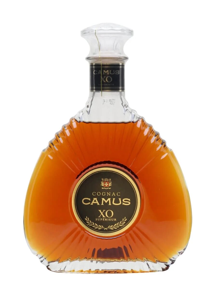 Camus xo. Хо Camus Cognac коньяк. Коньяк x.o Camus. Камю Хо Когнак. Cognac Camus XO (40% ALC.).