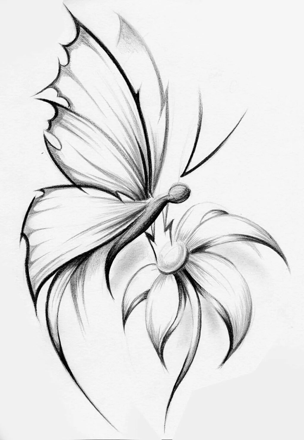 Красивые эскизы рисунков. Бабочка простым карандашом. Цветы рисунок карандашом. Красивые рисунки цветов карандашом. Красивые бабочки карандашом