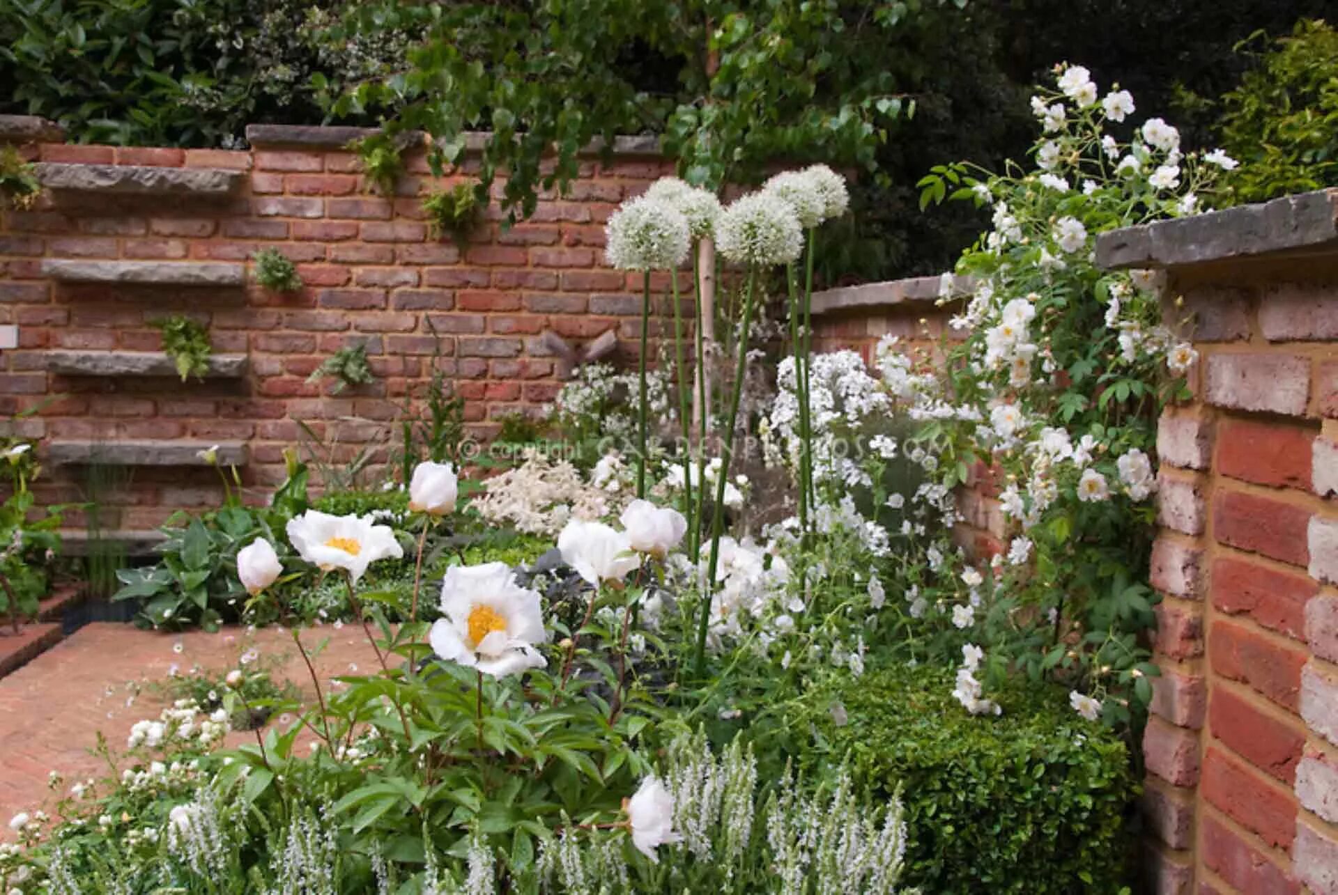 Белый сад цветник. Гортензия анабель в садовых композициях. Тысячелистник птармика жемчуг. Белые цветы в саду весной. Тюльпаны в миксбордере.