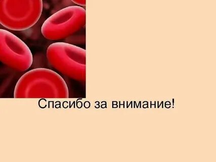 Слово анемия