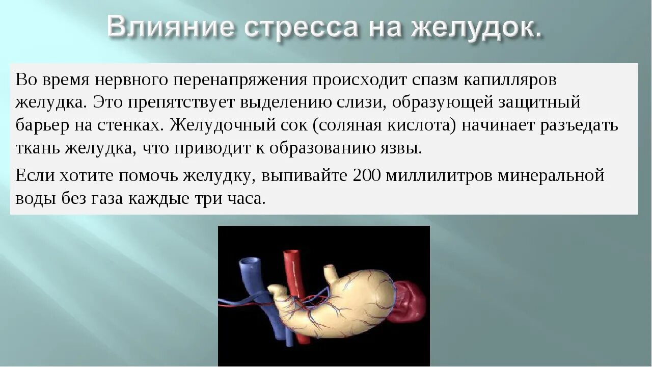 Воздействие стресса на желудок. Влияние стресса на пищеварительную систему. Влияние стресса на ДКТ.