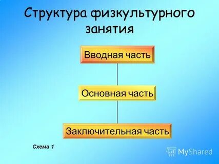 Физкультурное занятие характеристика