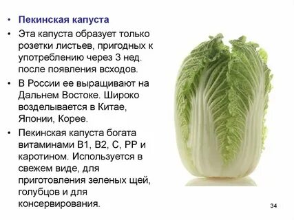 Польза пекинской капусты для организма человека