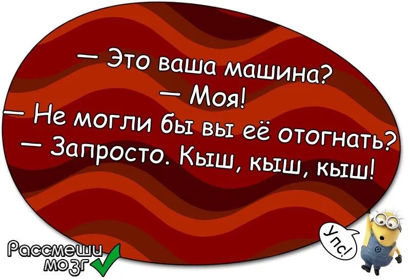 Это ваша машина можете отогнать. Ваша машина? Можете отогнать кыш. Запросто это