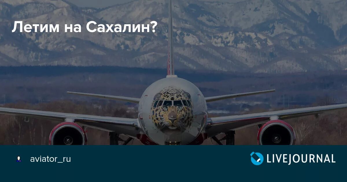 Авиация на Сахалине. Я лечу на Сахалин. Сахалин время полета из Москвы. Баннеры в аэропортах летим на Сахалин. Хочу полететь в москву