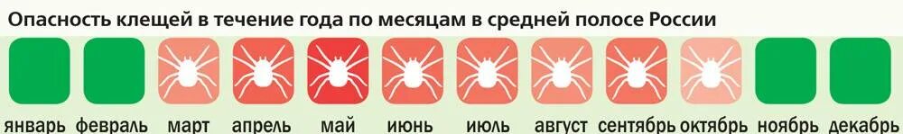 Активность клещей по месяцам. Период активности клещей. Клещ активность по месяцам. Пик активности клещей. Период клещевой активности.