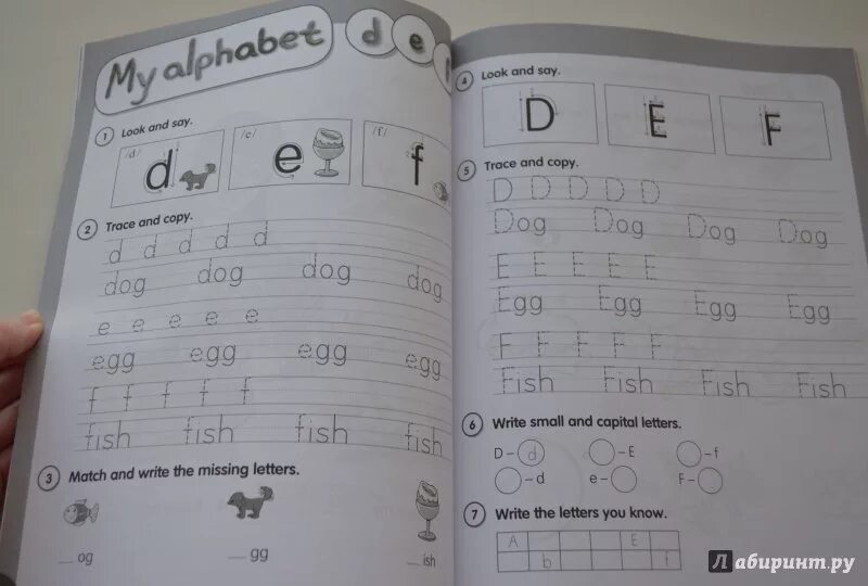 Ответы fly high activity book. Fly high 1 activity book. ответы fly high 1 activity book. учебник fly high 1. flyhigh activity book 2 ответы рабочая тетрадь.