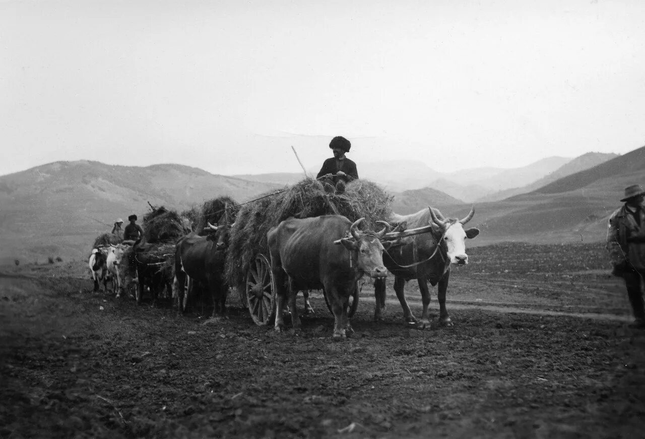 Северный кавказ ссср. Кавказ СССР. Путешествие в СССР. Путешествия 1935. СССР поля в Кавказе.