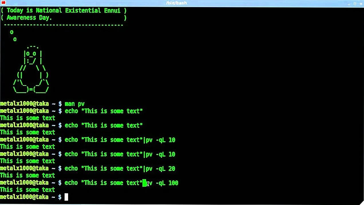Bash symbol. Командная оболочка linux. bash linux. программирование на bash. bash язык программирования.