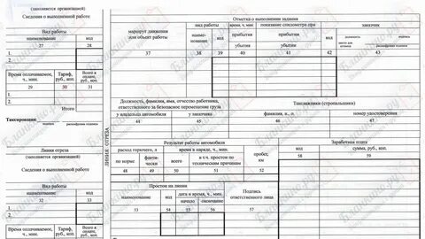 Путевой лист спецтехники