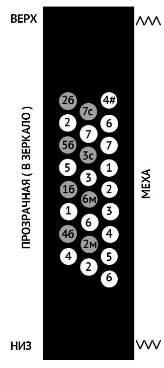 Аккорды на гармони схема. Схема левой клавиатуры гармони 25х25. Схема басовых кнопок гармони. Левая клавиатура гармони 25 на 25. Научиться играть на гармошке по цифрам