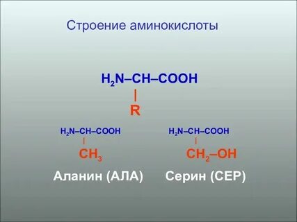 Ch3 n2