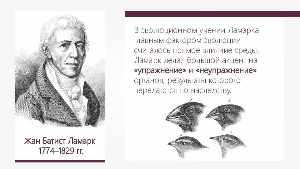 Эволюционного учения объясняется. Эволюционного учения объясняется