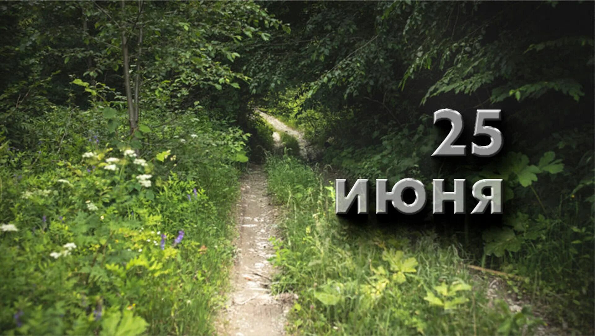 25 июня 1. 25 июня. 25 июня календарь. 25 июня праздник. 25 июня картинки.