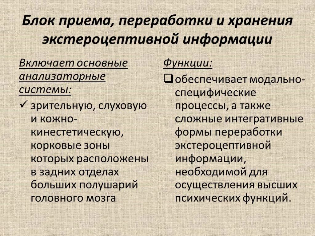 Процесс приема и переработки. Блок приема переработки и хранения экстероцептивной информации. Экстероцептивной информации это. Экстероцептивная информация это. Переработка кинестетической информации.