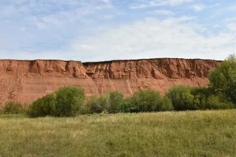 Памятник природы в городе